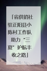 省供销社驻正阳县小陈村工作队 助力“三夏”护航丰收之路