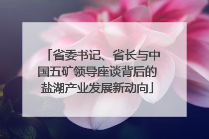 省委书记、省长与中国五矿领导座谈背后的盐湖产业发展新动向