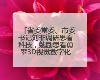 省委常委、市委书记刘非调研思看科技，勉励思看勇攀3D视觉数字化科技高峰
