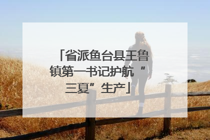 省派鱼台县王鲁镇第一书记护航“三夏”生产