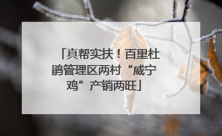 真帮实扶！百里杜鹃管理区两村“威宁鸡”产销两旺