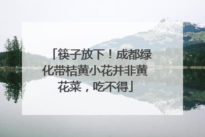筷子放下！成都绿化带桔黄小花并非黄花菜，吃不得