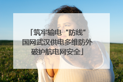 筑牢输电“防线” 国网武汉供电多维防外破护航电网安全