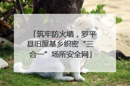 筑牢防火墙，罗平县旧屋基乡织密“三合一”场所安全网