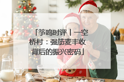 筝鸣时评丨一空桥村：强筋麦丰收背后的振兴密码