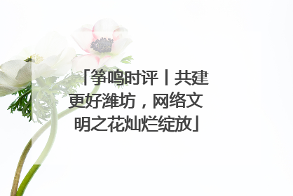 筝鸣时评丨共建更好潍坊，网络文明之花灿烂绽放