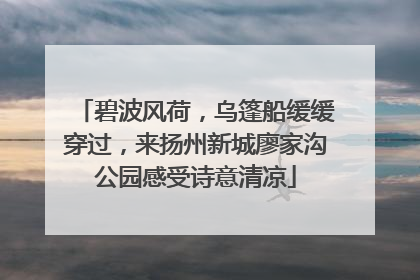 碧波风荷，乌篷船缓缓穿过，来扬州新城廖家沟公园感受诗意清凉