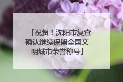 祝贺！沈阳市复查确认继续保留全国文明城市荣誉称号