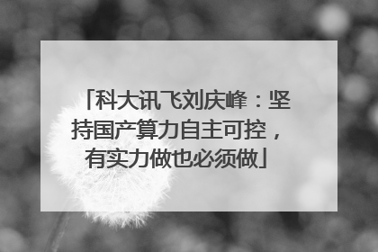 科大讯飞刘庆峰：坚持国产算力自主可控，有实力做也必须做