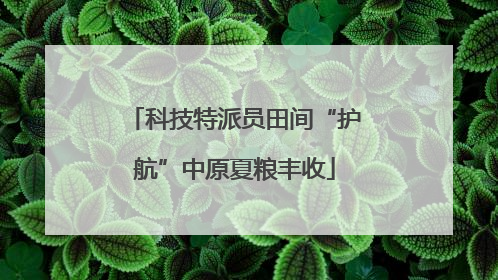 科技特派员田间“护航”中原夏粮丰收