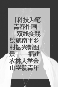 科技为笔·青春作画｜双线实践绘就南平乡村振兴新图景——福建农林大学金山学院青年学子以智慧与科技激活乡村发展新动能