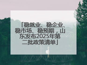 稳就业、稳企业、稳市场、稳预期，山东发布2025年第二批政策清单