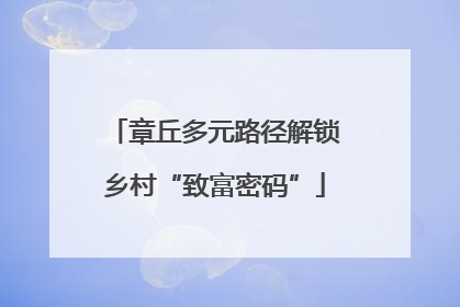 章丘多元路径解锁乡村“致富密码”