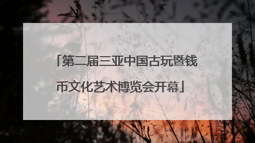 第二届三亚中国古玩暨钱币文化艺术博览会开幕
