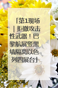 第1现场｜拒撤攻击性武器！巴黎航展竖黑墙隔离以色列四展台