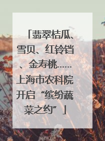 翡翠桔瓜、雪贝、红铃铛、金寿桃……上海市农科院开启“缤纷蔬菜之约”