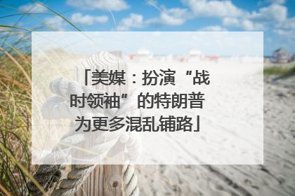 美媒：扮演“战时领袖”的特朗普为更多混乱铺路