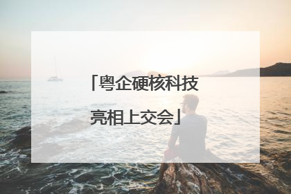 粤企硬核科技亮相上交会