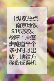 纵览热点｜南京地铁S1线突发故障：乘客走隧道半个多小时才出站，地铁方称造成误机会解决处理