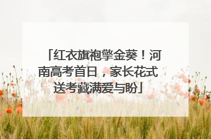 红衣旗袍擎金葵！河南高考首日，家长花式送考藏满爱与盼