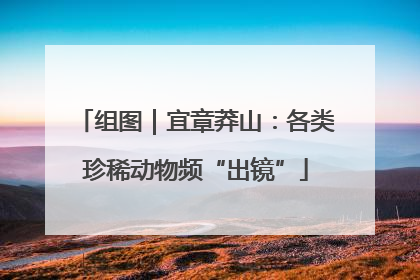组图｜宜章莽山：各类珍稀动物频“出镜”