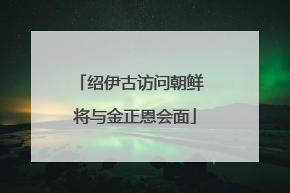 绍伊古访问朝鲜 将与金正恩会面