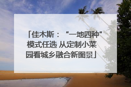 佳木斯：“一地四种” 模式任选 从定制小菜园看城乡融合新图景