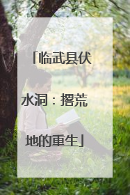 临武县伏水洞:撂荒地的重生