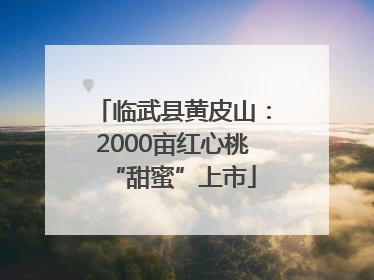 临武县黄皮山：2000亩红心桃“甜蜜”上市