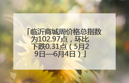 临沂商城周价格总指数为102.97点，环比下跌0.31点（5月29日—6月4日）