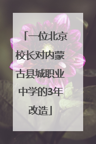 一位北京校长对内蒙古县城职业中学的3年改造