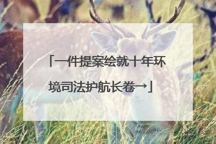 一件提案绘就十年环境司法护航长卷→