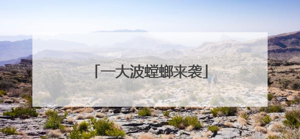 一大波螳螂来袭