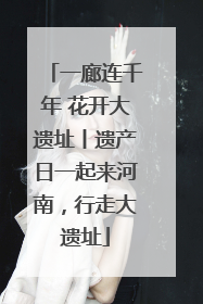 一廊连千年 花开大遗址丨遗产日一起来河南，行走大遗址