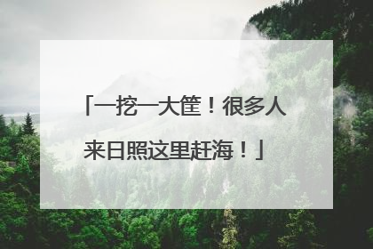 一挖一大筐！很多人来日照这里赶海！