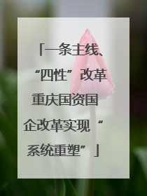 一条主线、“四性”改革 重庆国资国企改革实现“系统重塑”