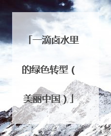 一滴卤水里的绿色转型（美丽中国）