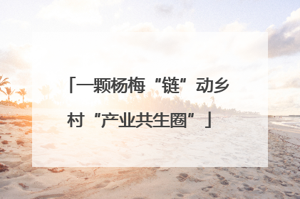 一颗杨梅“链”动乡村“产业共生圈”