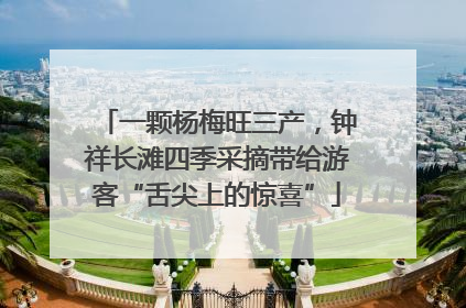 一颗杨梅旺三产，钟祥长滩四季采摘带给游客“舌尖上的惊喜”