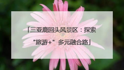 三亚鹿回头风景区：探索“旅游+”多元融合路
