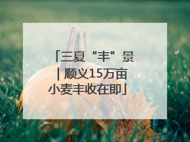 三夏“丰”景｜顺义15万亩小麦丰收在即