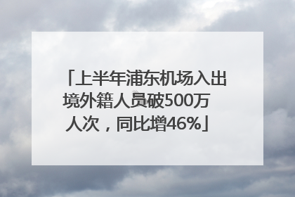 上半年浦东机场入出境外籍人员破500万人次，同比增46%