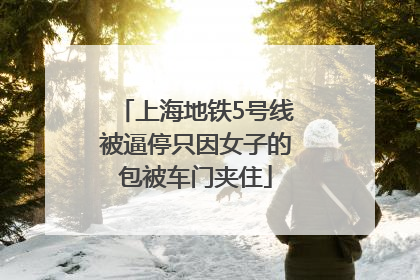 上海地铁5号线被逼停只因女子的包被车门夹住