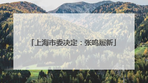 上海市委决定：张鸣履新