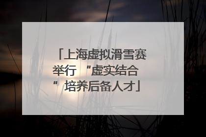上海虚拟滑雪赛举行 “虚实结合”培养后备人才