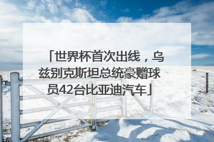 世界杯首次出线，乌兹别克斯坦总统豪赠球员42台比亚迪汽车