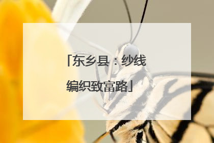 东乡县：纱线编织致富路