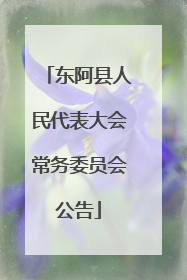 东阿县人民代表大会常务委员会公告