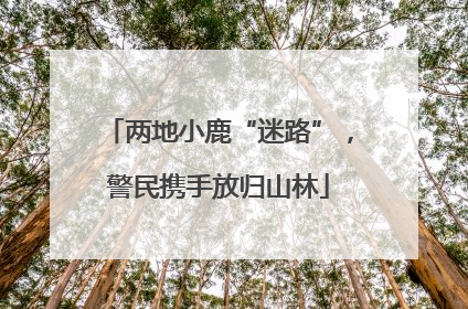 两地小鹿“迷路”，警民携手放归山林