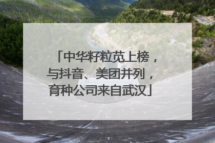 中华籽粒苋上榜，与抖音、美团并列，育种公司来自武汉